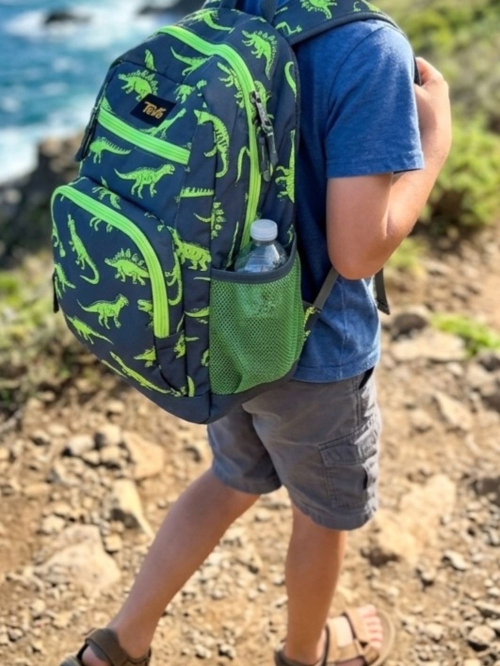 Dinosaur Print Kids Backpack Blue/Green Polyester Zip Padded w/ Outer Pockets